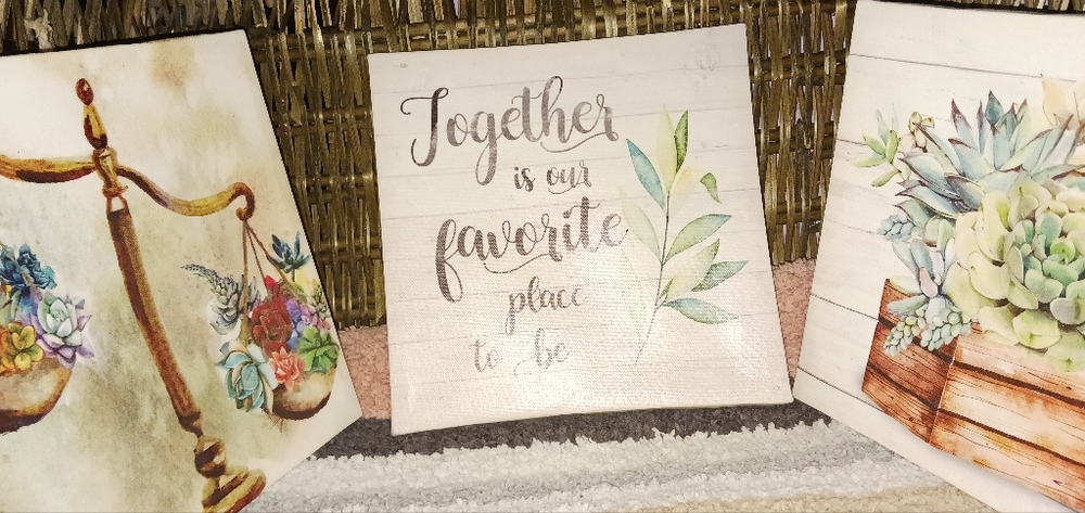 3 little succulent pictures, shower curtain and liner.